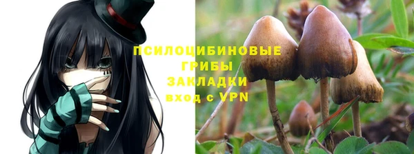 гидропоника Богородицк