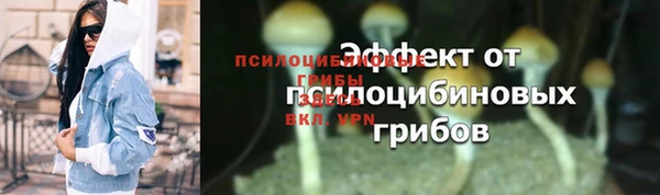 бошки Белокуриха